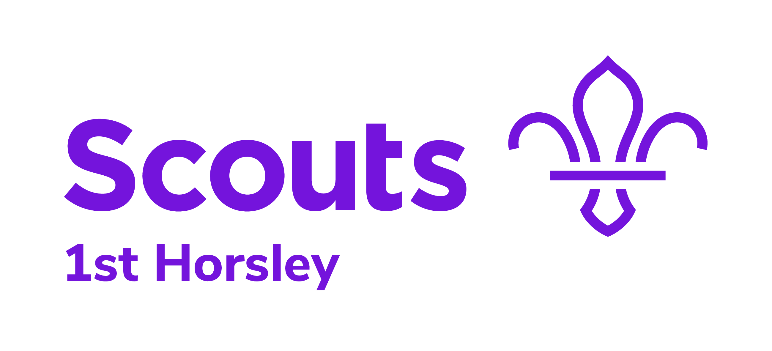 1st horsley scout logo
